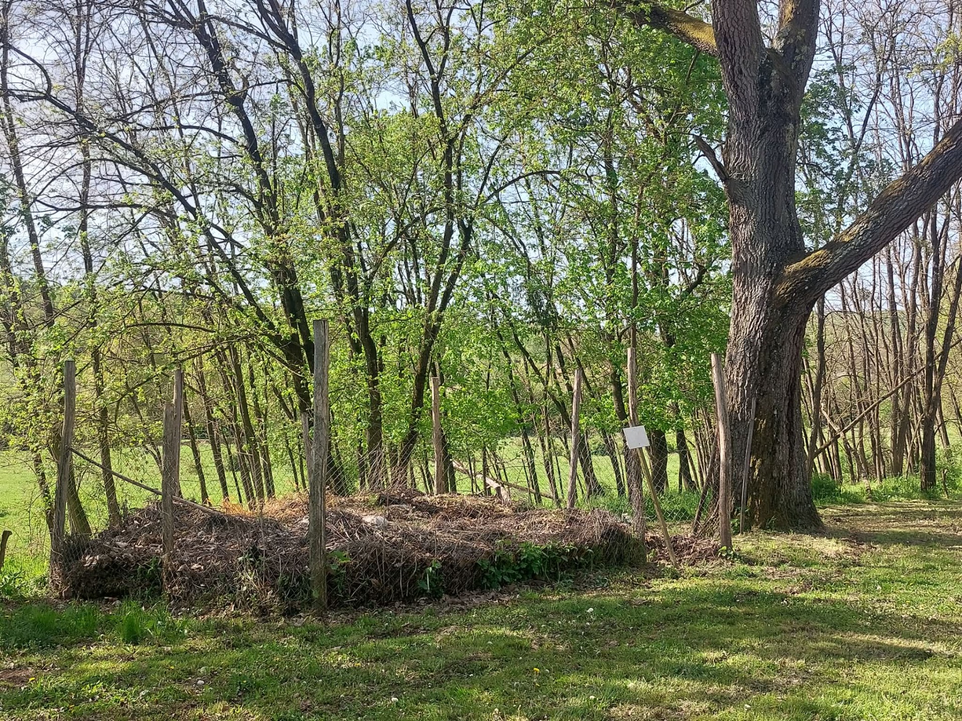 Almáskeresztúr, a falu komposztálója. | Fotó: Abaligeti Természetjáró Szakkör