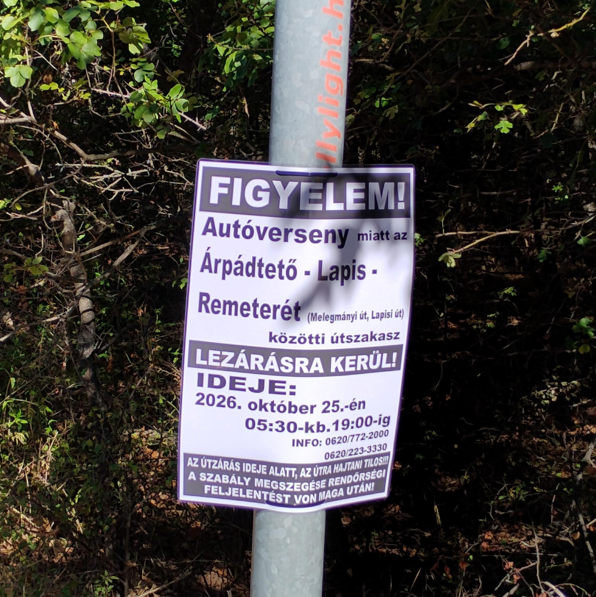 Fotó: Komáromi Csaba